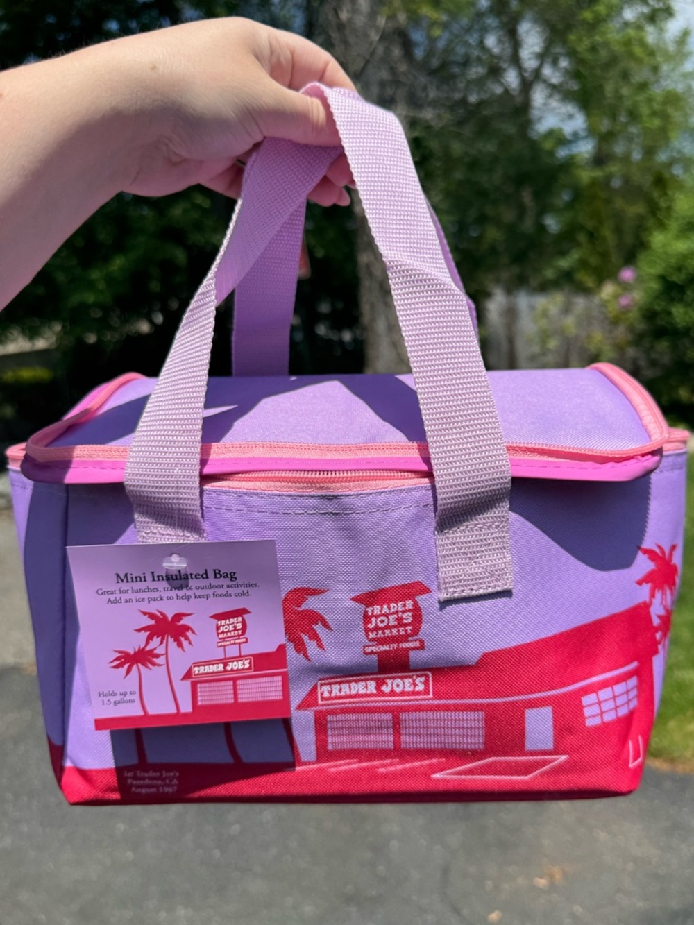 NWT! Trader Joe's Pink & Lavender Mini Insulated Tote May 2026 Release